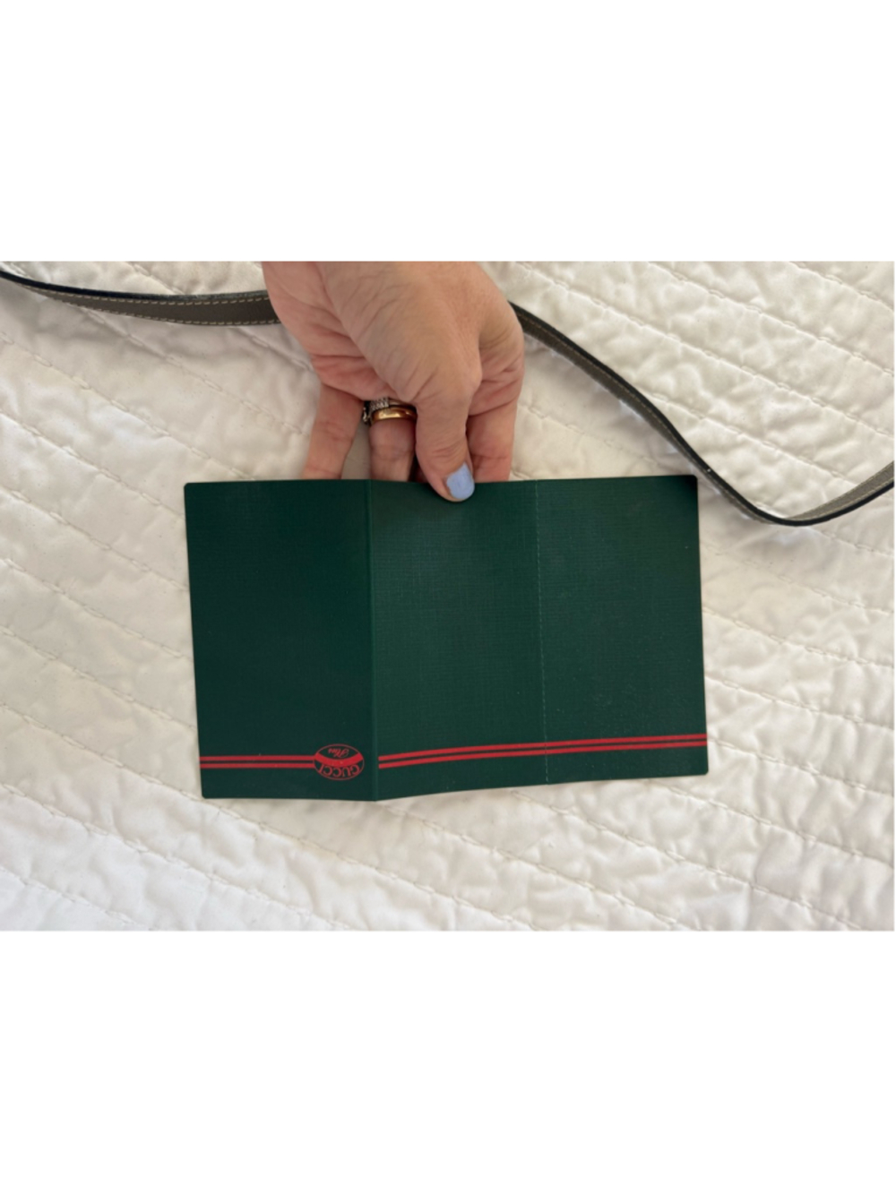 Gucci Plus Crossbody Bag in Gray and Green, a piece of Gucci history. - Picture 14 of 16